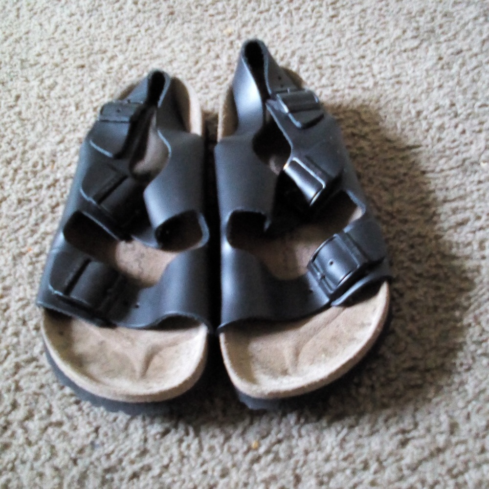 Betula from original